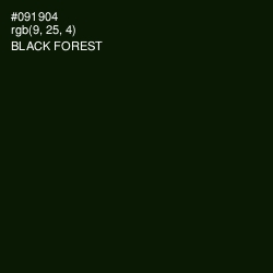 #091904 - Black Forest Color Image